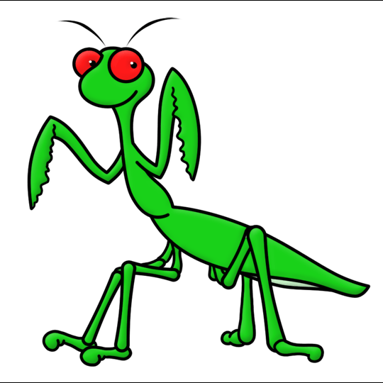 Praying Mantis Insect Cartoon Drawing Lesson