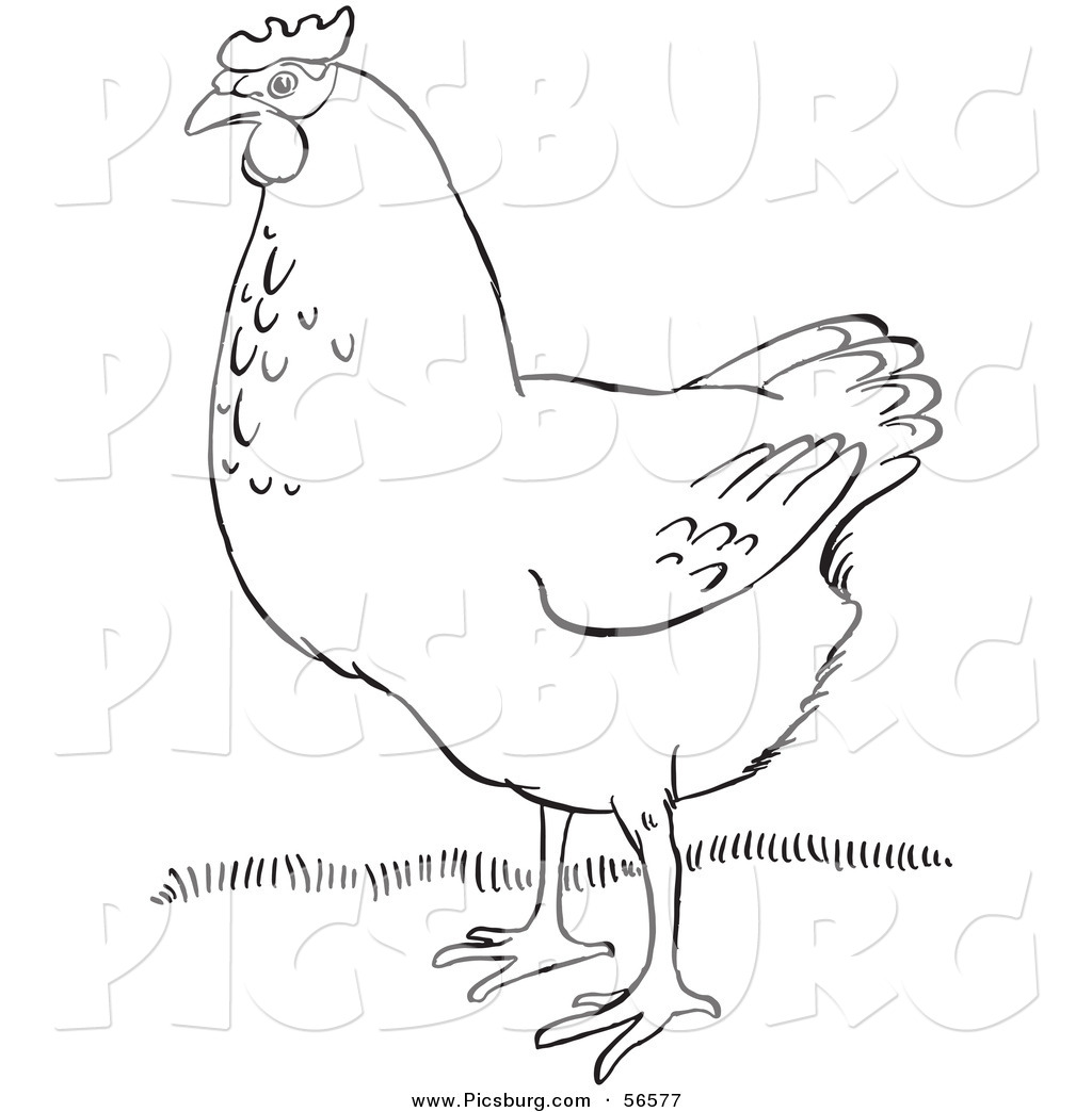 Clip Art of a Hen on Grass - Black and White Line Art by Picsburg ...