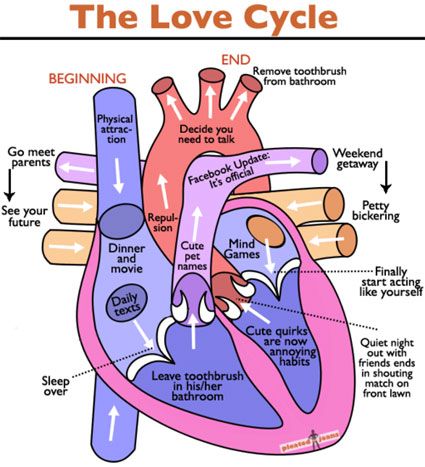 Finally! A Heart Diagram That Makes Sense / The Frisky on imgfave