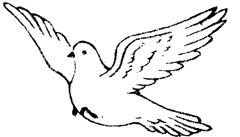 BIRD,SEA-GULL FLYING by White Dove Abrasives Co., Ltd. - 541715 ...