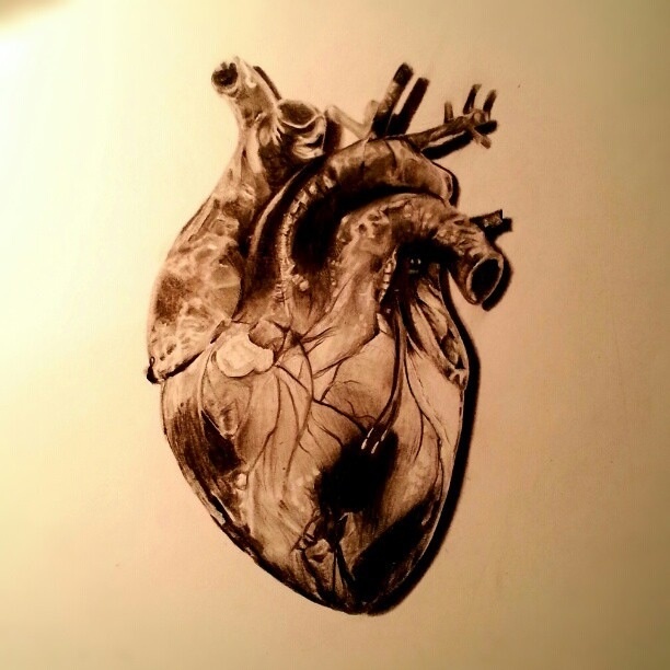 Heart #realistic #art #sketch | Art Inspiration | Pinterest