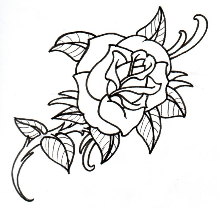 Traditional Rose Tattoo Outlines | Tattoo Designs | Tattoo Designs