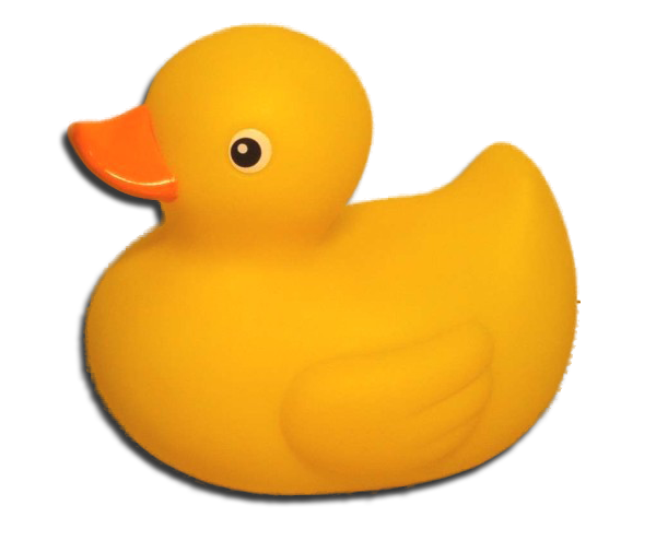 Rubber Ducky Race – Welcome / Welcome Back Cookout | Braintree ...