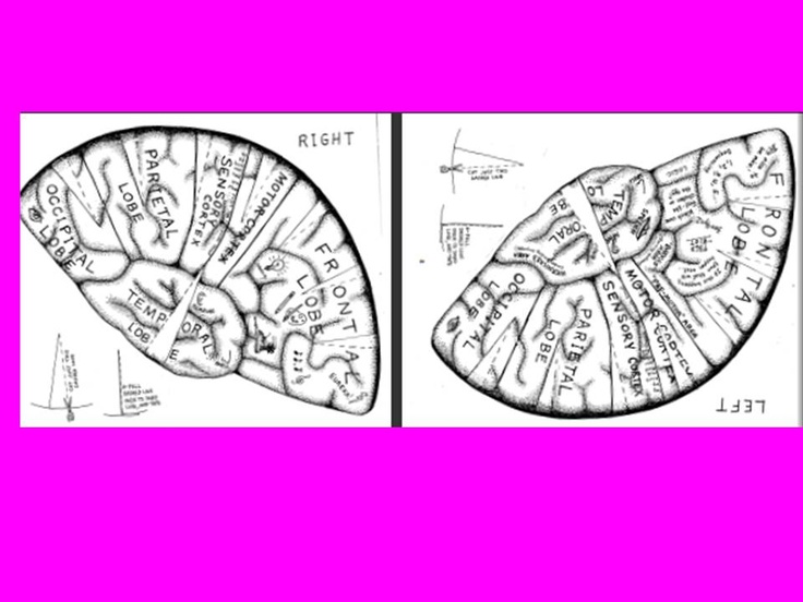 Printable Blank Brain Cliparts co