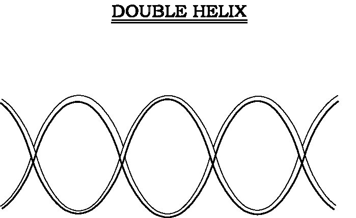 Photo : Double Helix Definition Of Double Helix By Merriam Webster ...