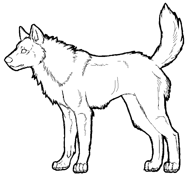deviantART: More Like Entire wolf pack lineart by Slaywolf