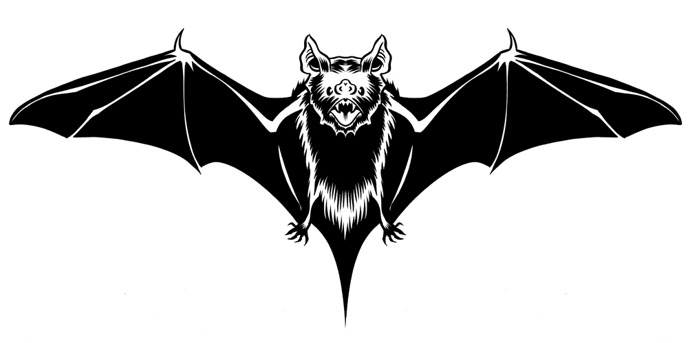 Bat+Shirt%2521.jpg