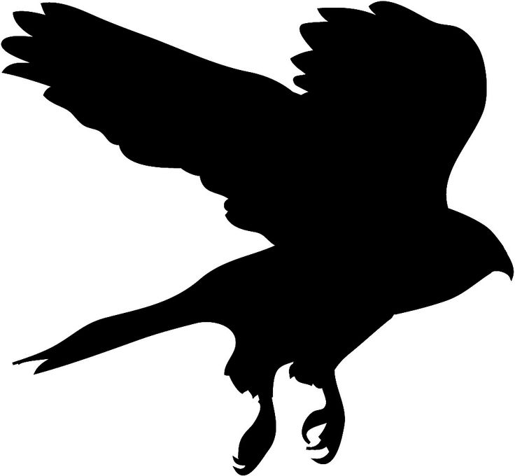 silhouette of Hawk in flight hunging | getekende vogels | Pinterest