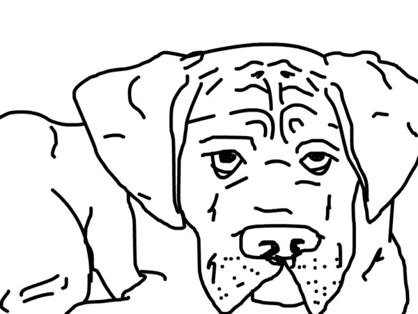 Line Drawings Of Dog - ClipArt Best