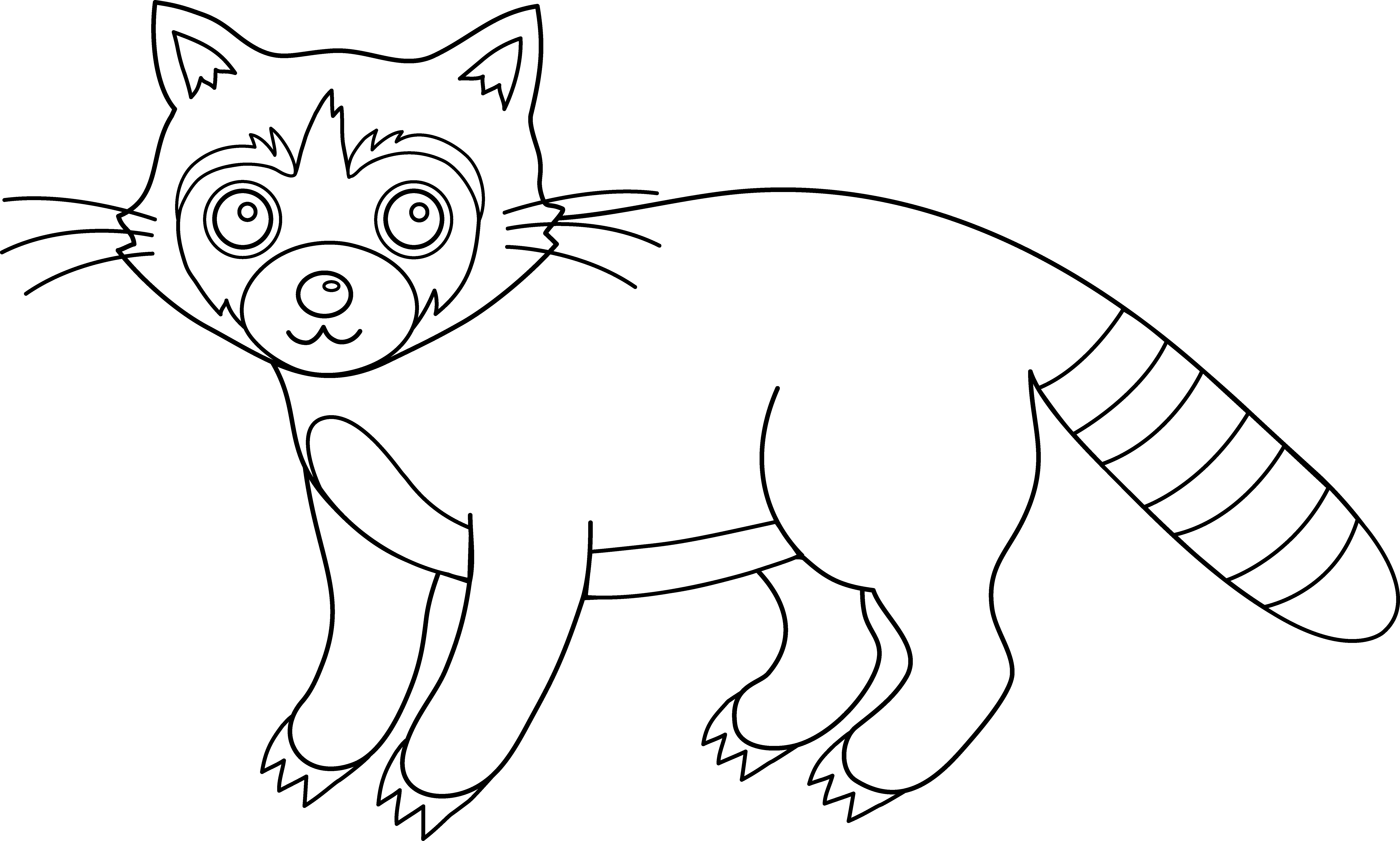 Colorable Raccoon - Free Clip Art