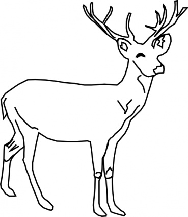 Outline Images Of Animals - ClipArt Best
