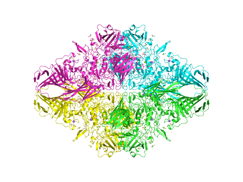 PDBeView - PDB entry 3t09