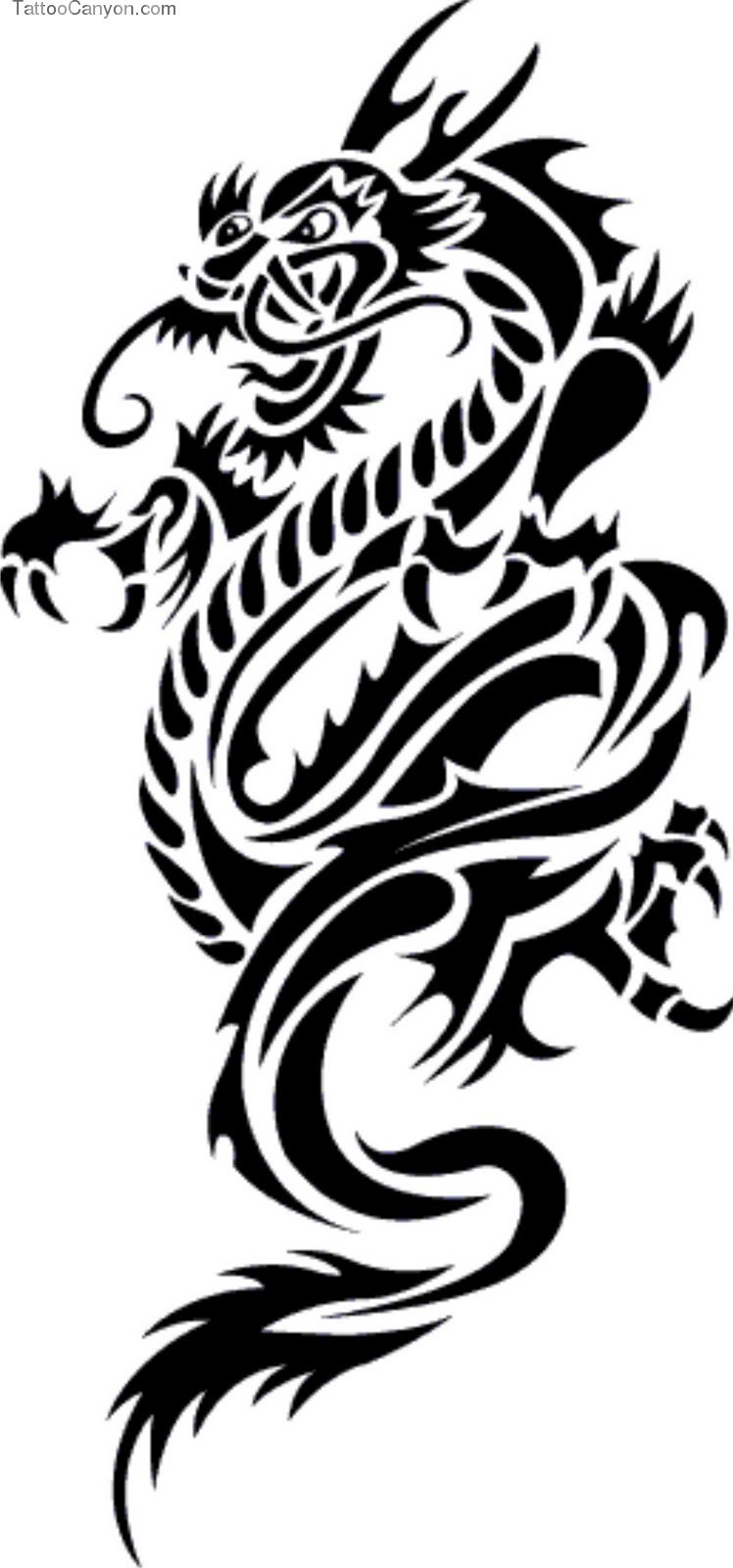 Free Download New Tattoos Dragon Tattoo Design Collection 3794 ...