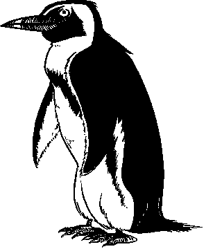 Pictures Of Animated Penguins - ClipArt Best