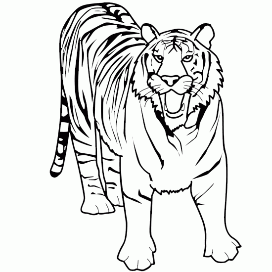 Animals pictures - Picture tags: tiger, savage, animal, drawing ...