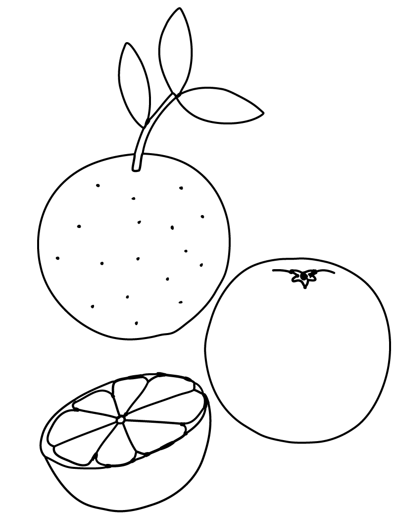 Free Printable Coloring Page and Clipart: Fresh Citrus Oranges