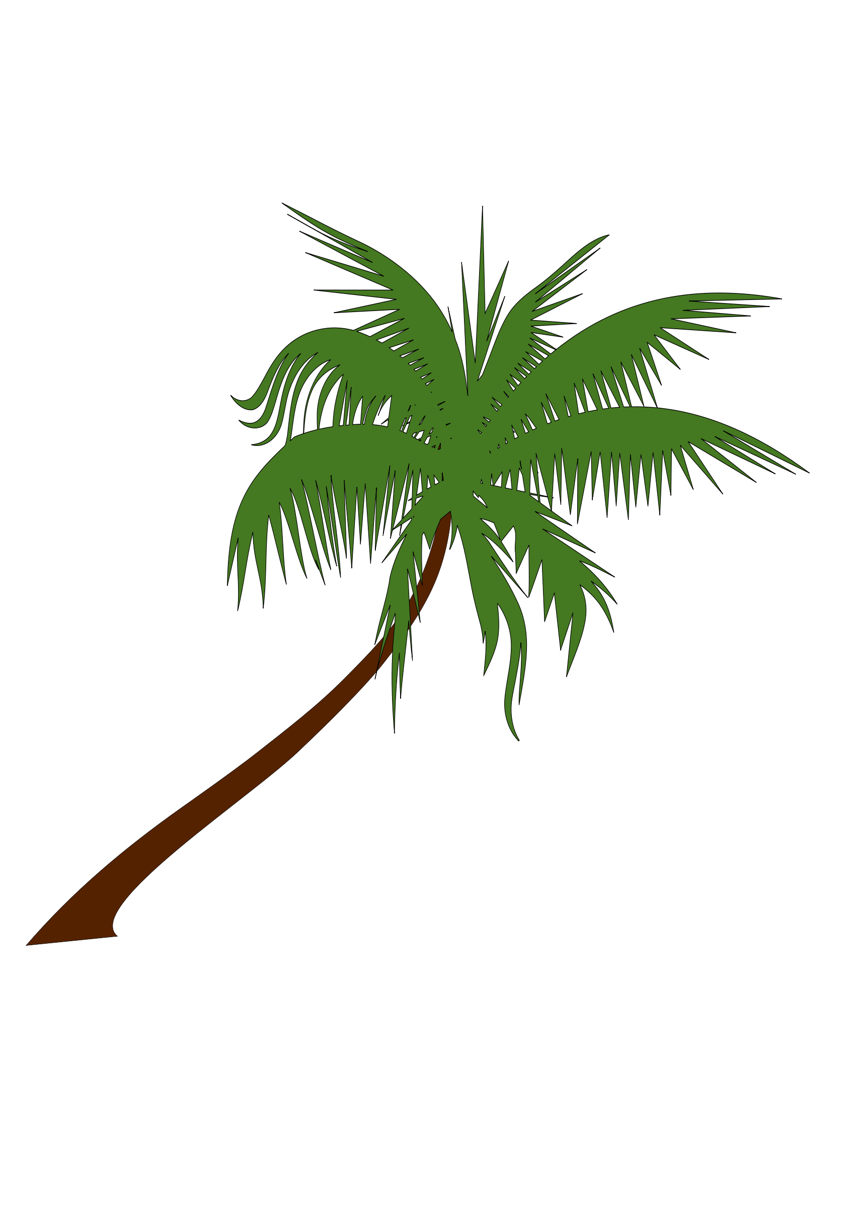 coconut tree clip art - photo #6