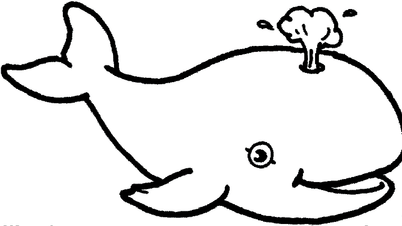 Trends For > Whale Coloring Pages For Kids