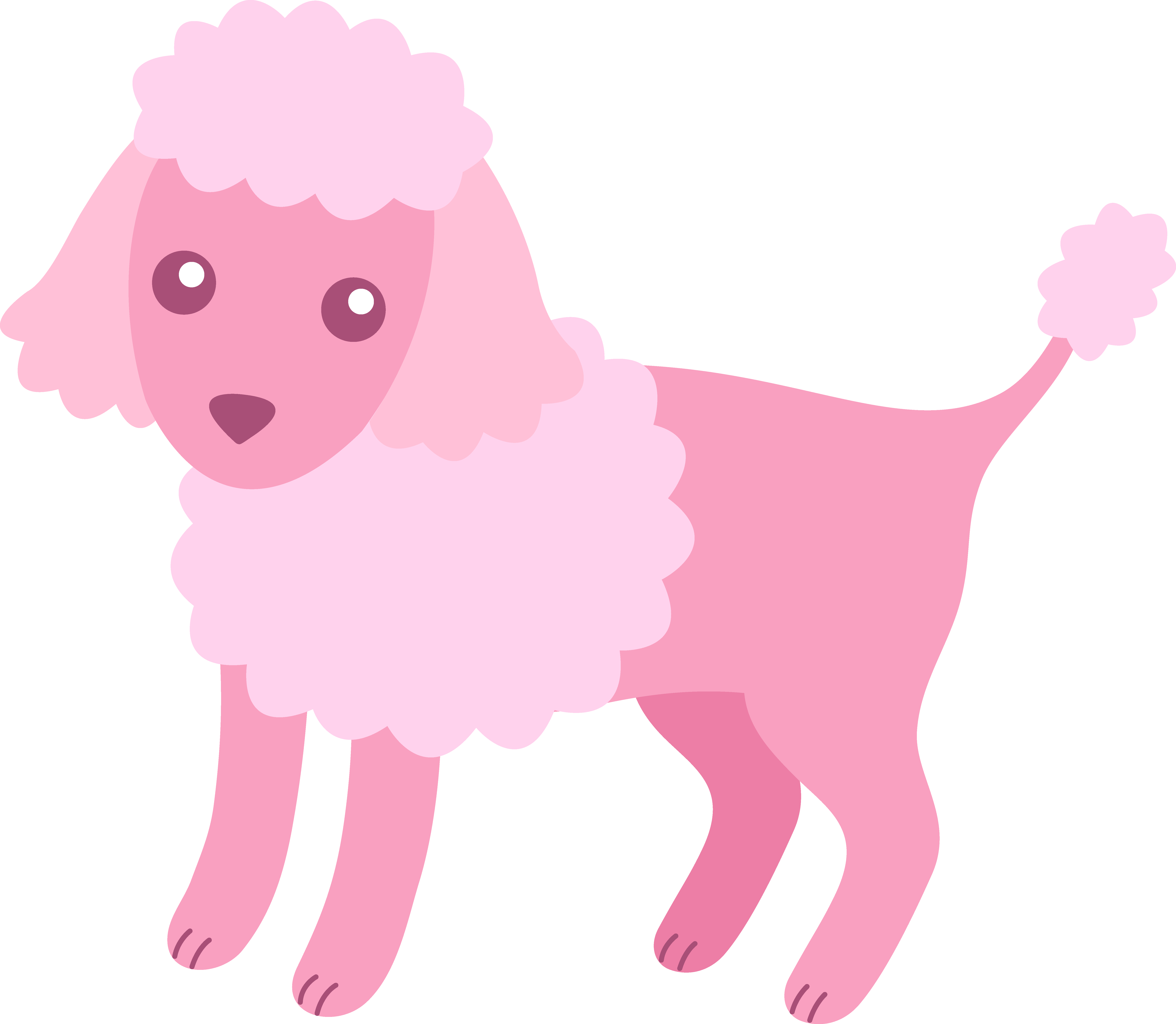 Cute Fluffy Pink Poodle - Free Clip Art