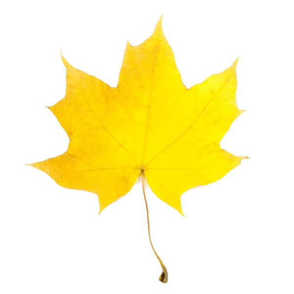 Yellow Leaves Clip Art | Clipart Panda - Free Clipart Images