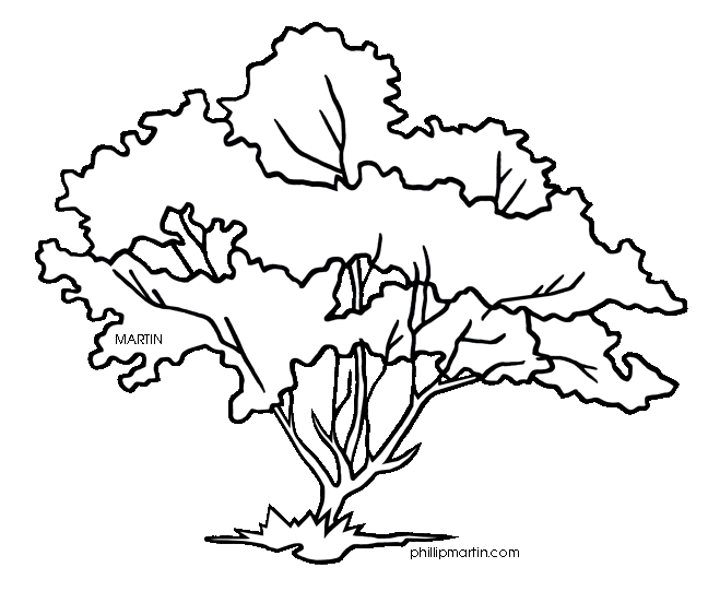 dogwood flower coloring pages - photo #29