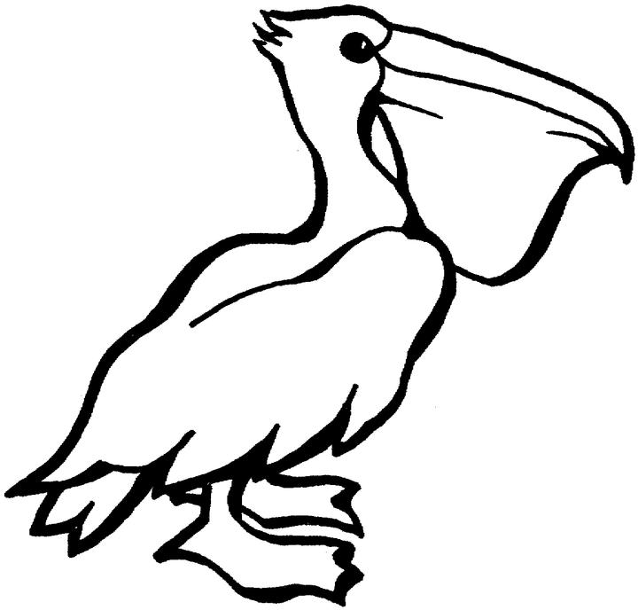 Pelican Pictures To Color | Animal Coloring Pages | Kids Coloring ...