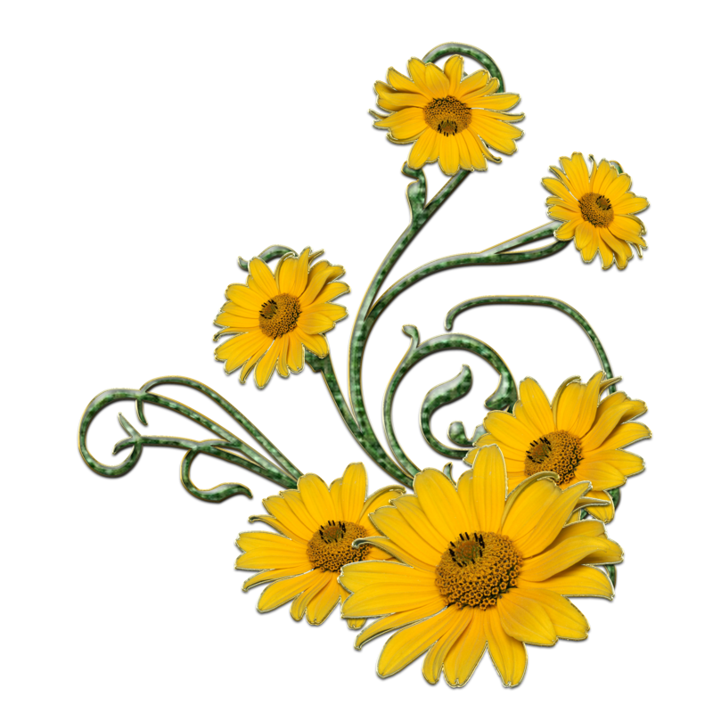 deviantART: More Like yellow flower and green swirls png by Melissa-tm
