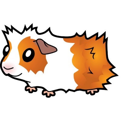 Cartoon guinea pig | Guinea Pig Inspiration | Pinterest