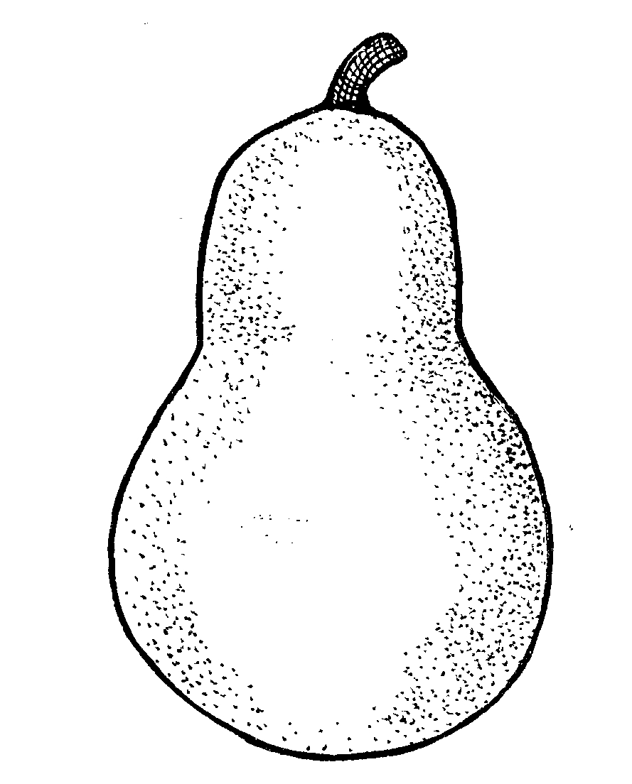 Jenny Smith's LDS Ideas :: Pear