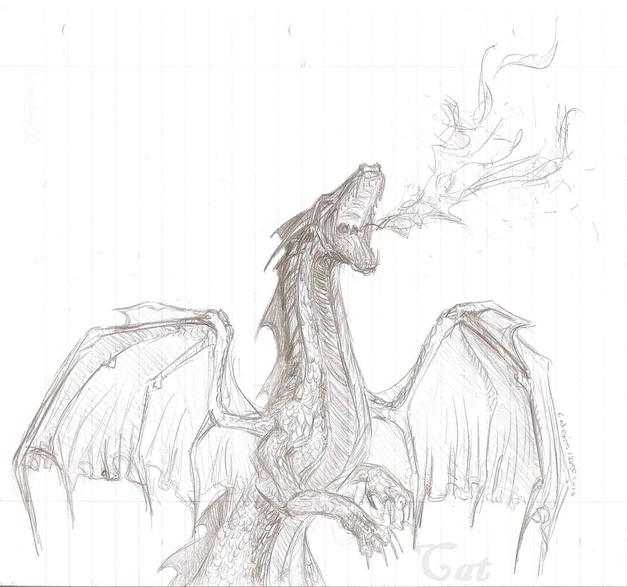 Fire Breathing Dragon - Cliparts.co