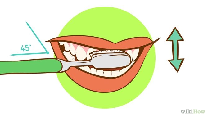 How to Brush Your Teeth: 15 Steps (with Pictures) - wikiHow