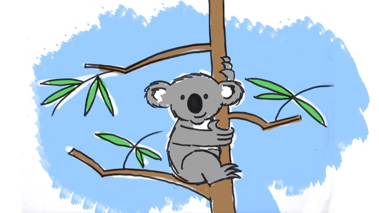 How to draw a cute cartoon Koala - YouTube