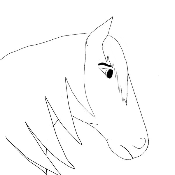 Drawings Of Horses Heads Easy Images & Pictures - NearPics - Cliparts.co