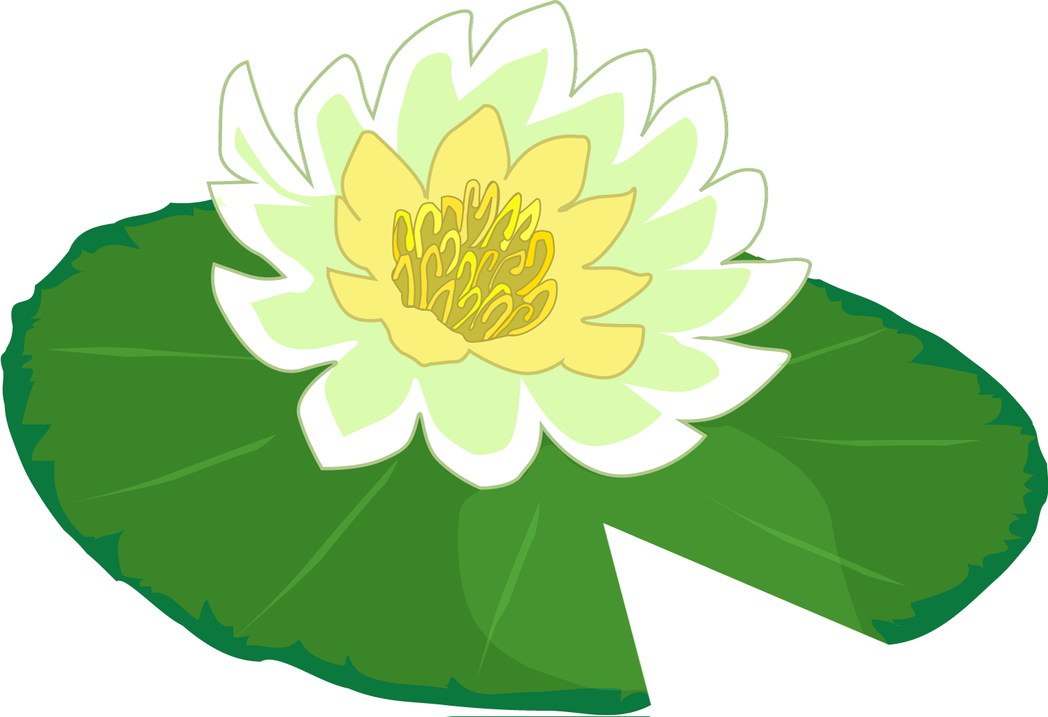 Lily Pad - Cliparts.co