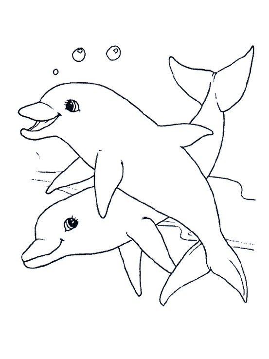 dolphin line drawing digi stamp | craft design templates | Pinterest