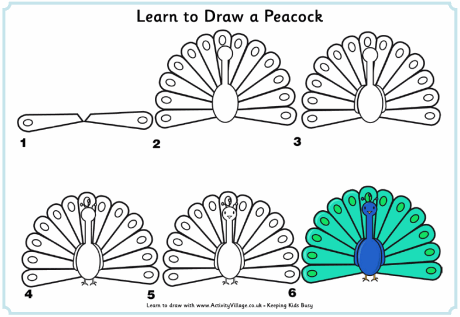 learn_to_draw_a_peacock.gif
