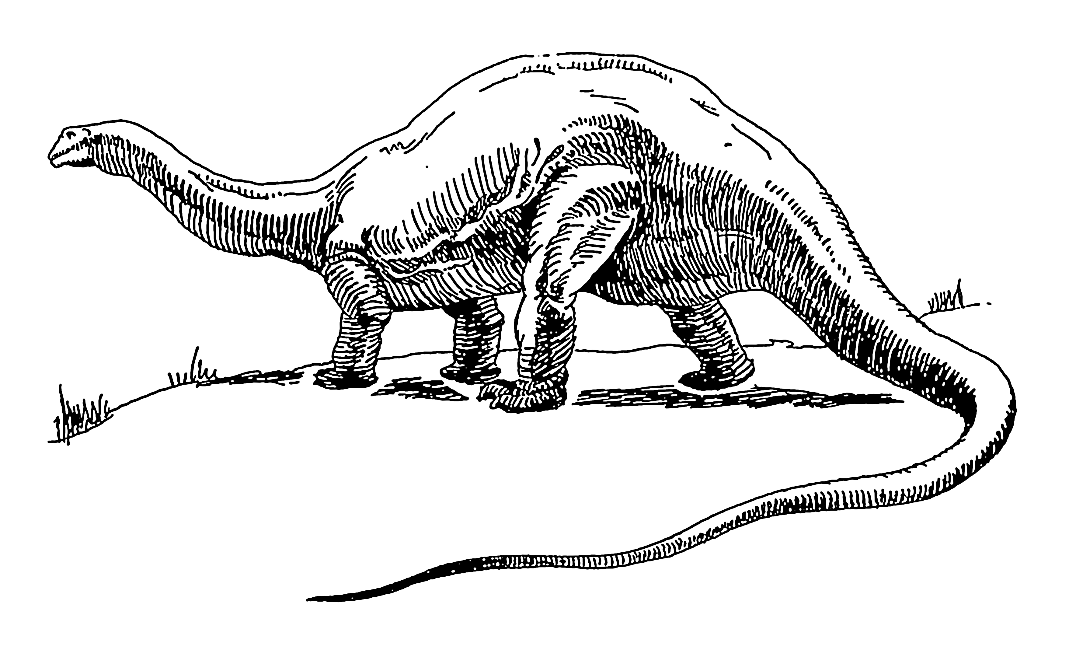 File:Dinosaur - brontosaurus (PSF).png - Wikimedia Commons