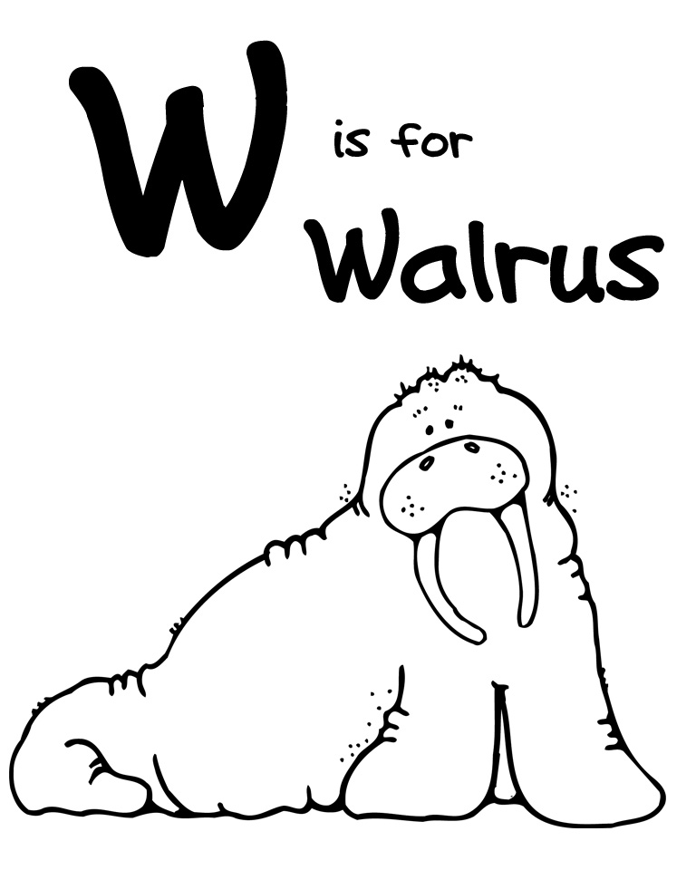 Walrus Clipart Black And White