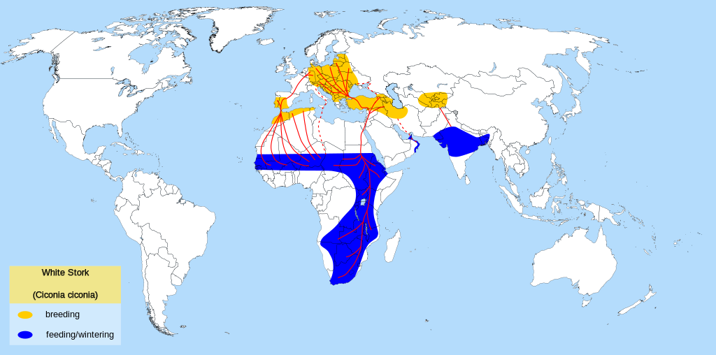 File:White Stork migration map-en.svg - Wikimedia Commons