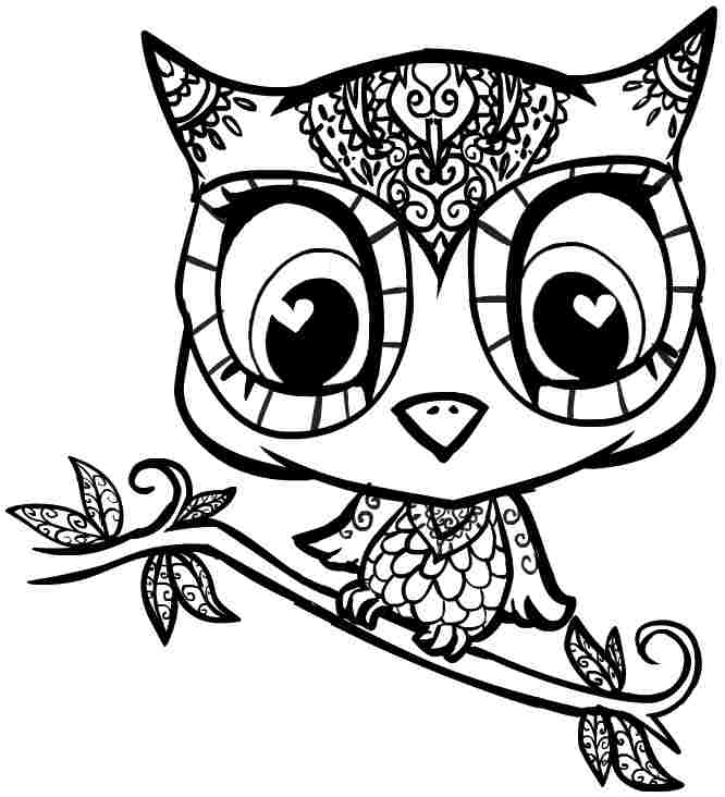 Free Colouring Pages Animal Owl For Kids 8125#