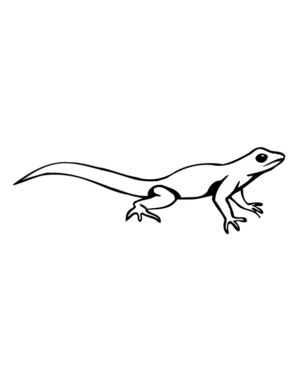 lizard0006 printable coloring in pages for kids - number 2325 online