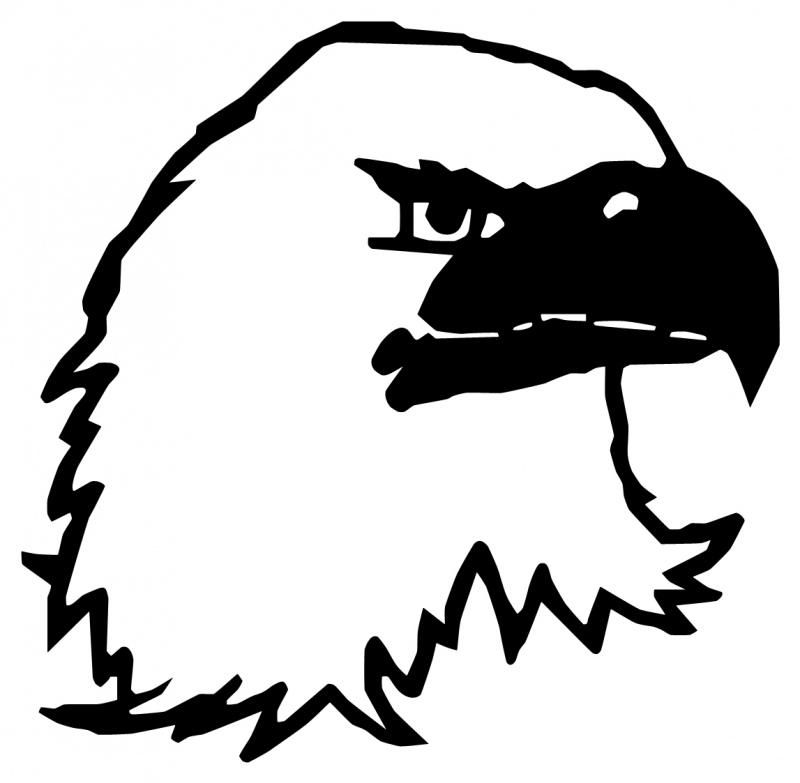 BALD EAGLE HEAD 0073 Self adhesive vinyl Sticker Decal | Signs by Post