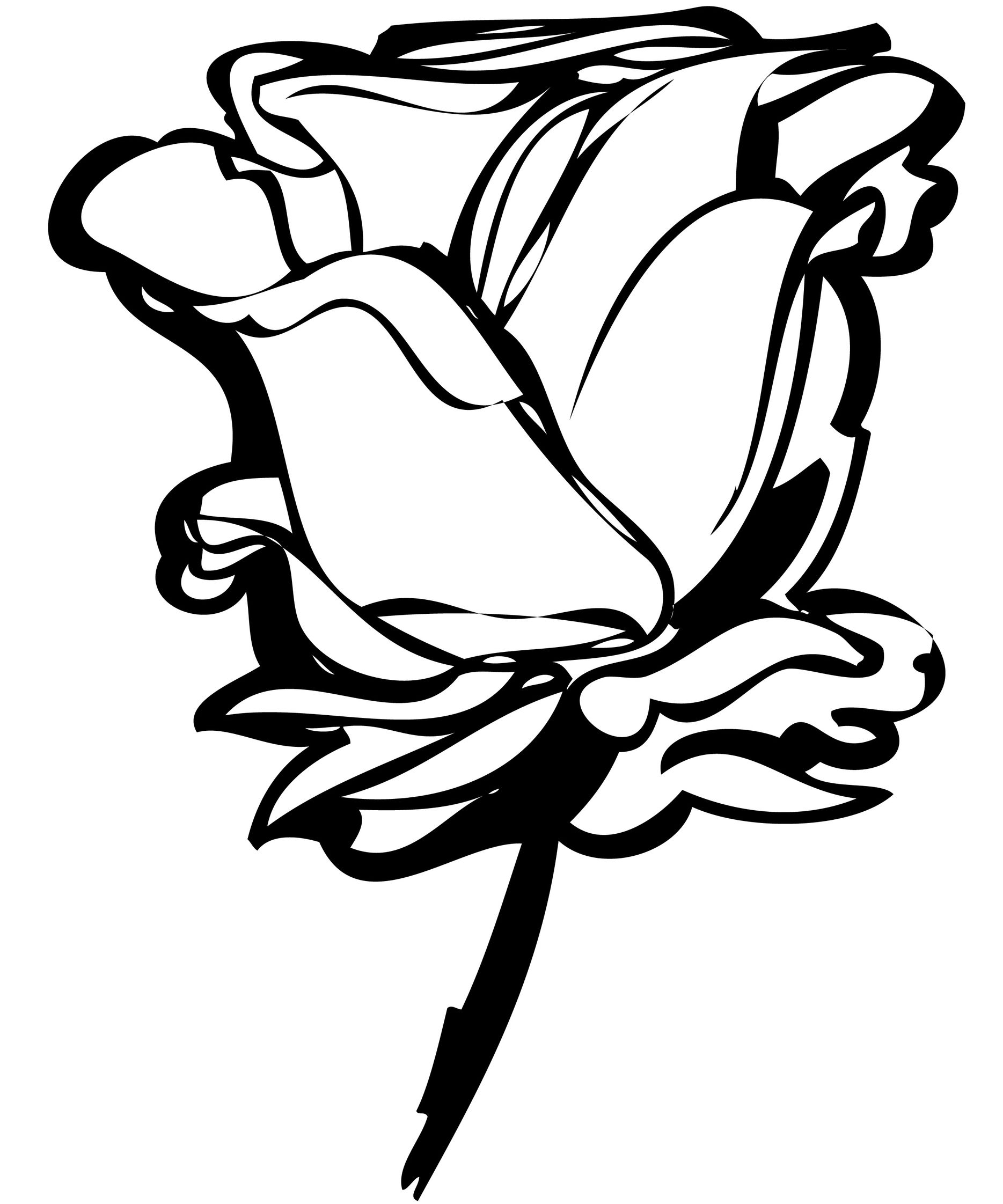 Black And White Rose Drawings - ClipArt Best