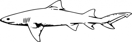 Download Lemon Shark clip art Vector Free
