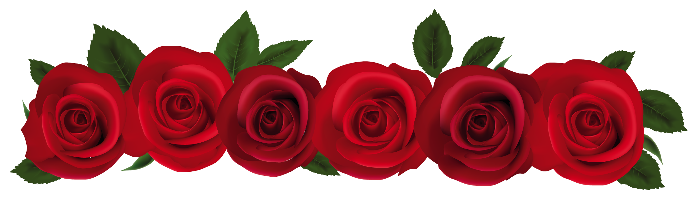 Red Roses PNG Clipart
