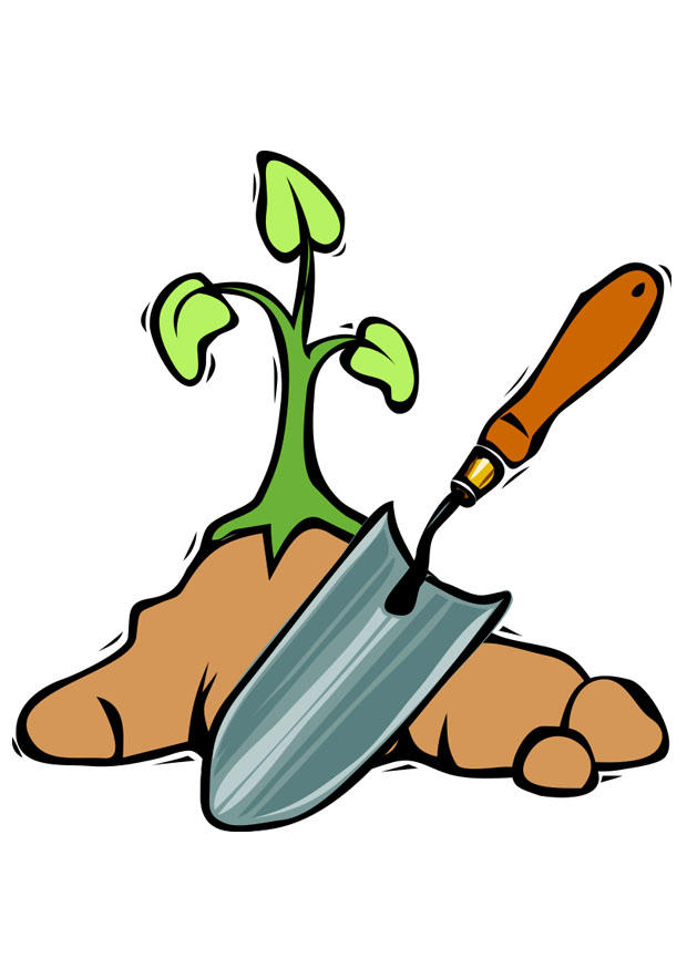 Image planting a tree - Img 21767