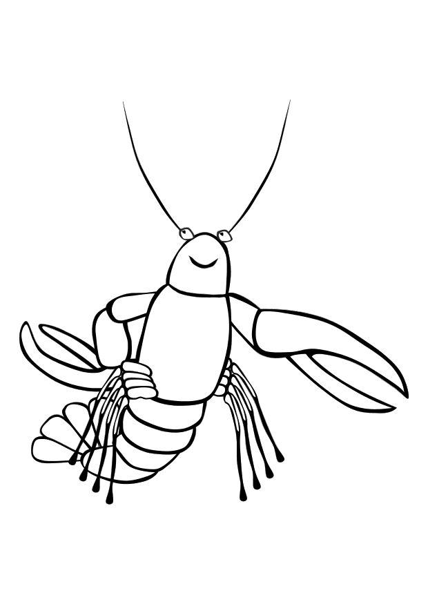 Coloring page lobster - img 10172.