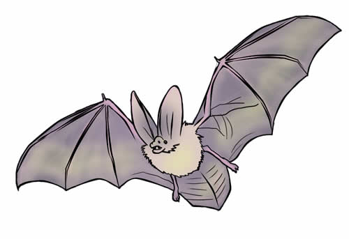 FREE Bat Clip Art 16 (