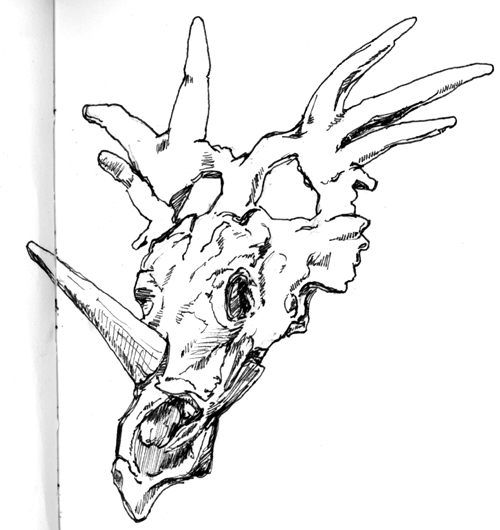 Dinosaur Bones Drawing | Clipart Panda - Free Clipart Images