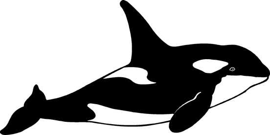 free whale clipart black and white - photo #40